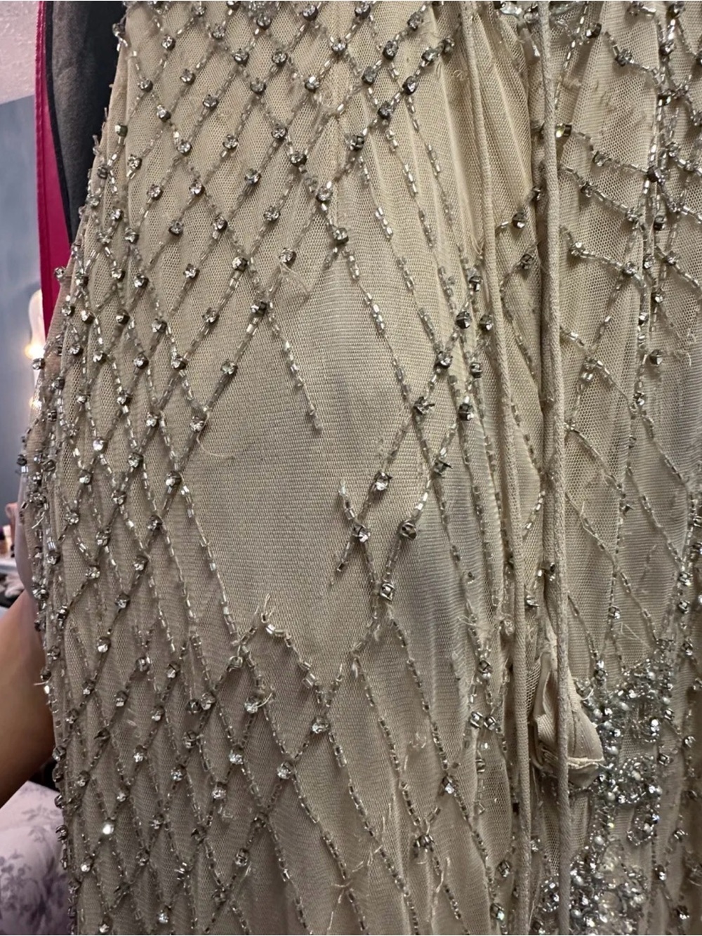 Beaded Champagne Evening Gown with Feather Hem - Picture 4 of 5